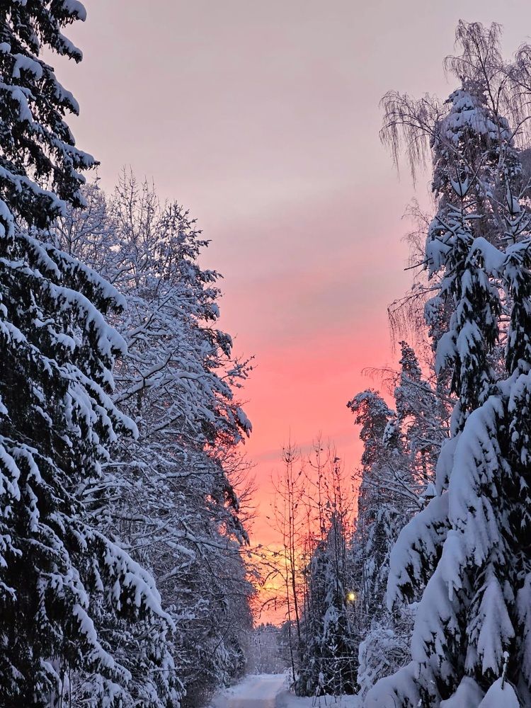 Photograph by Максим