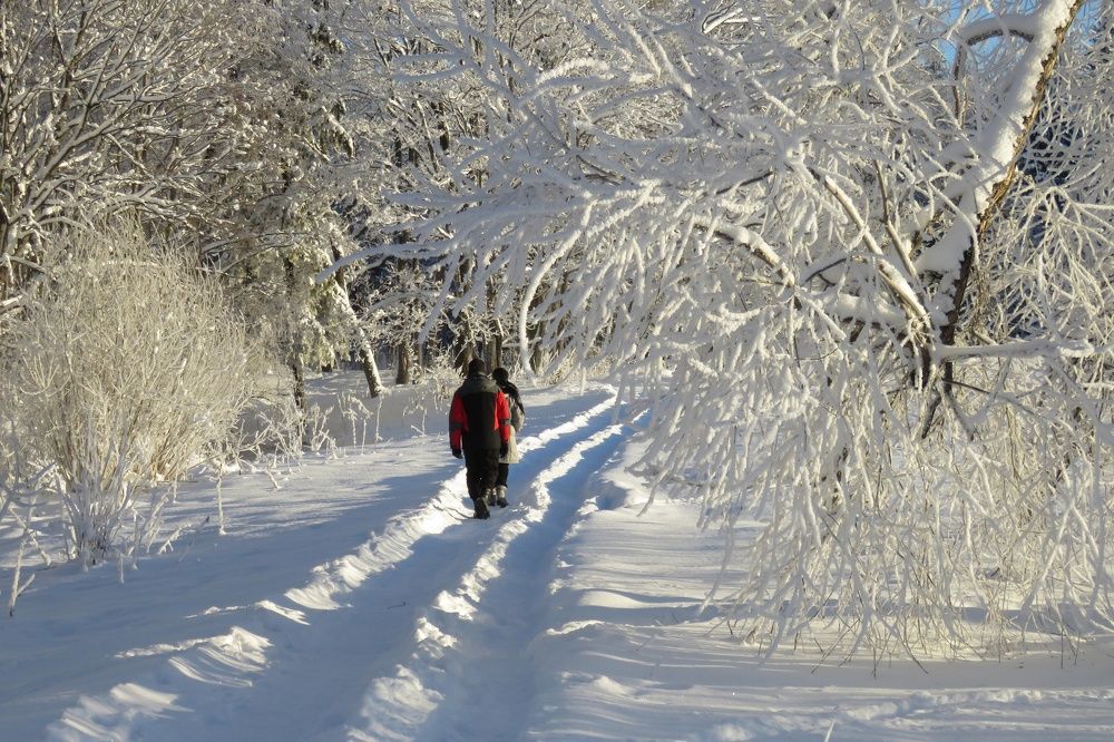 Photograph by Валерия Яскович