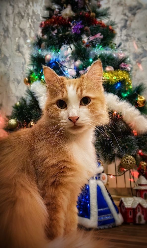 Photograph by Сергей Зайцев