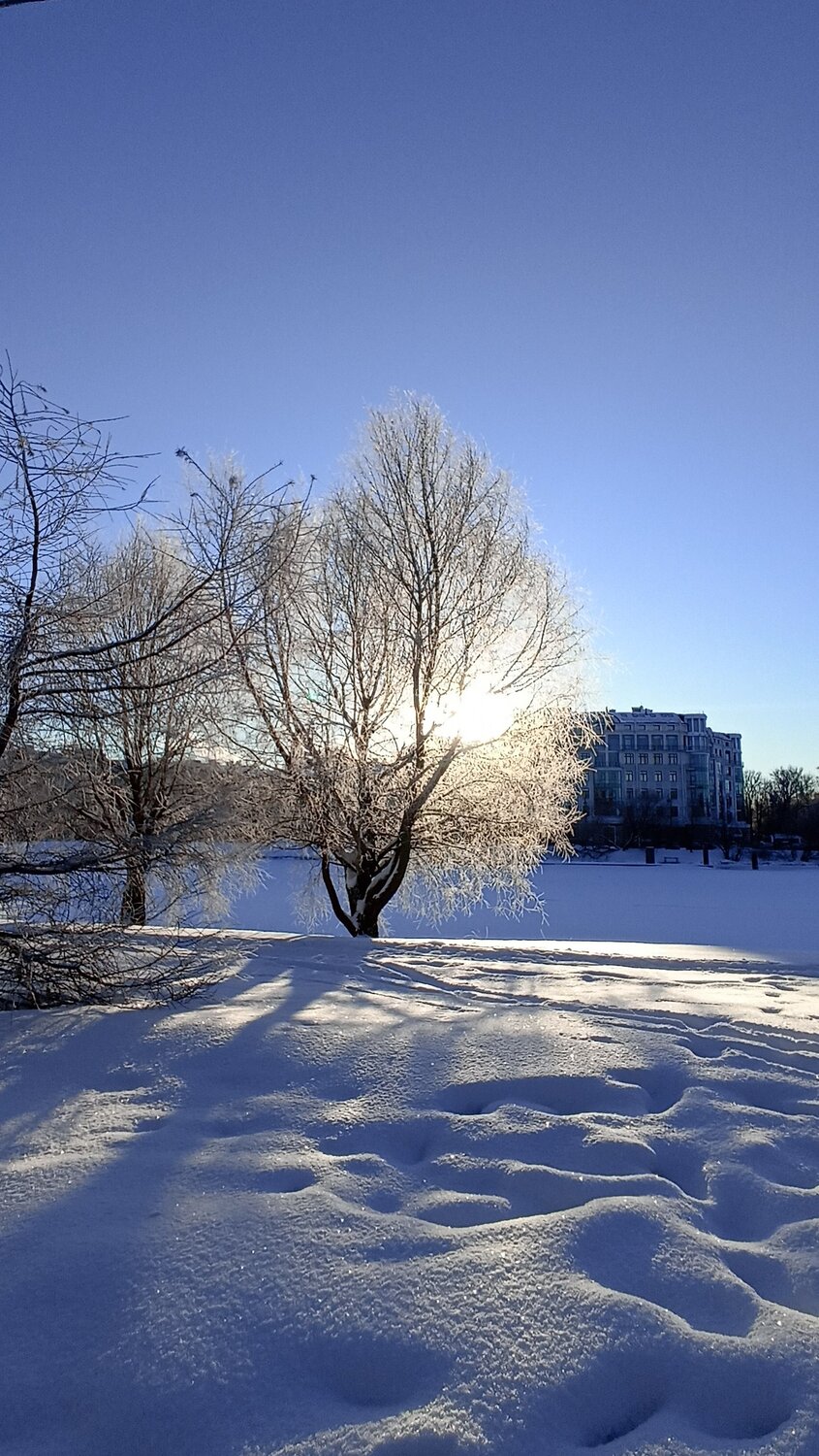 Photo #10077425