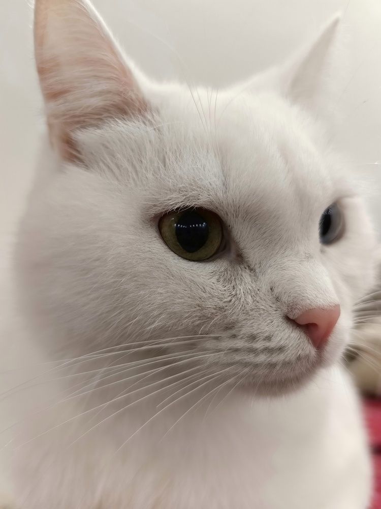 Photograph by Сергей Зайцев