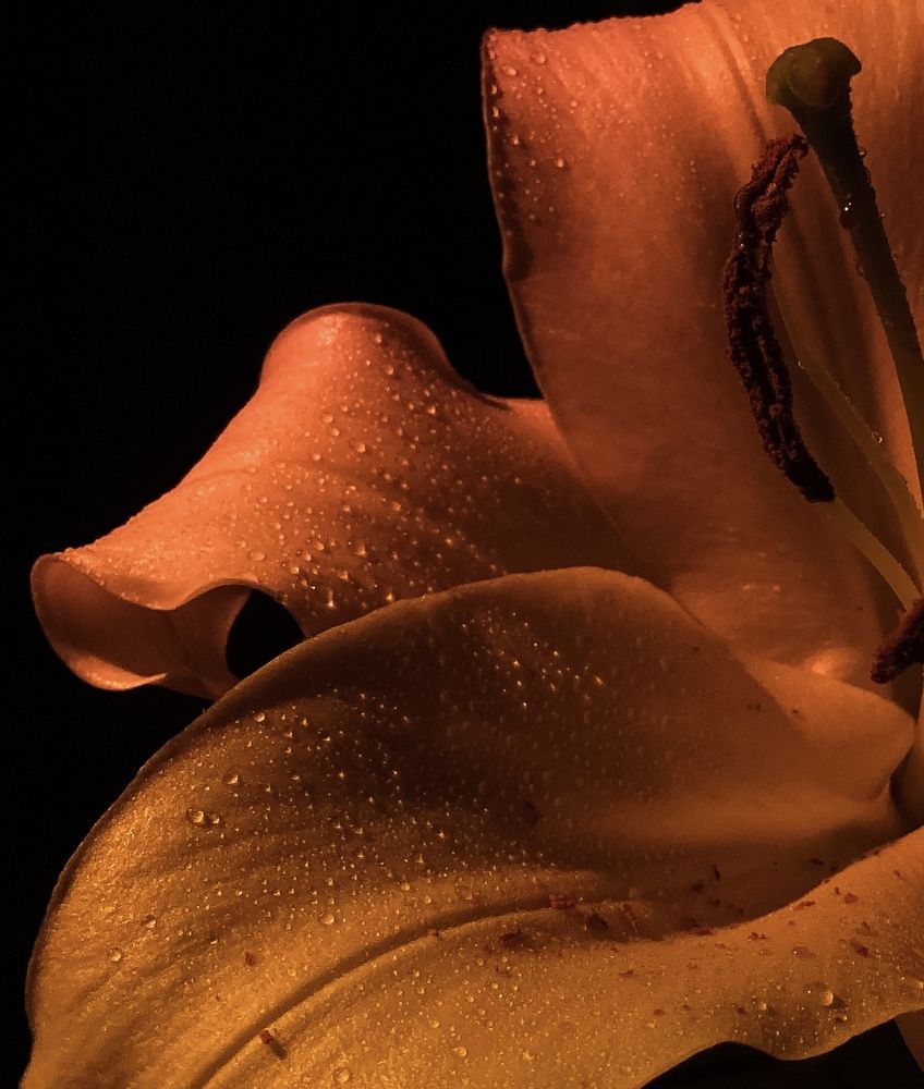 Photograph by Наталья Петрова