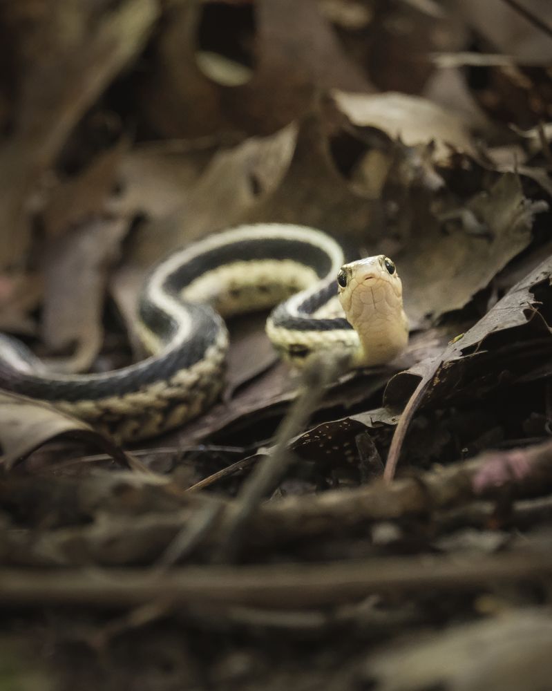 Photograph by Greg Noakes