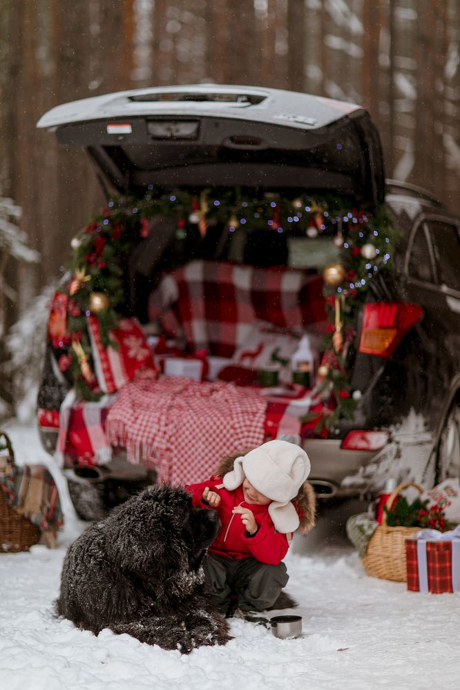 Photograph by Ольга Саламахо