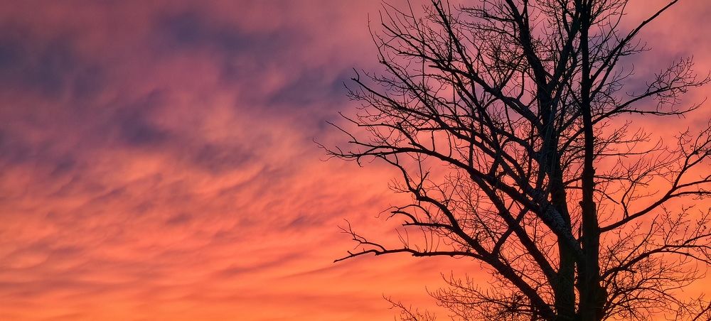 Photograph by Сергей Зайцев