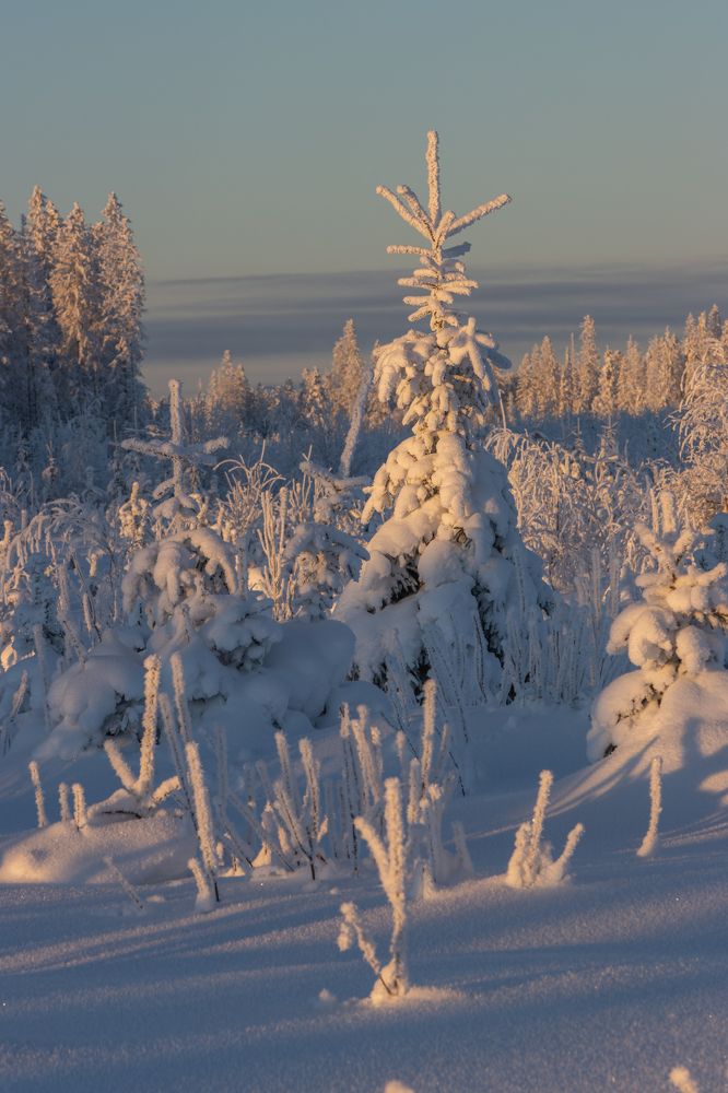 Photograph by Светлана Холодняк