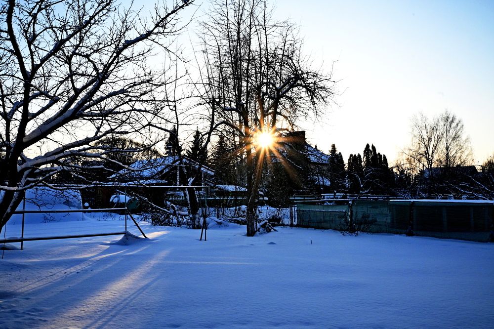 Photograph by Алексей Козлов