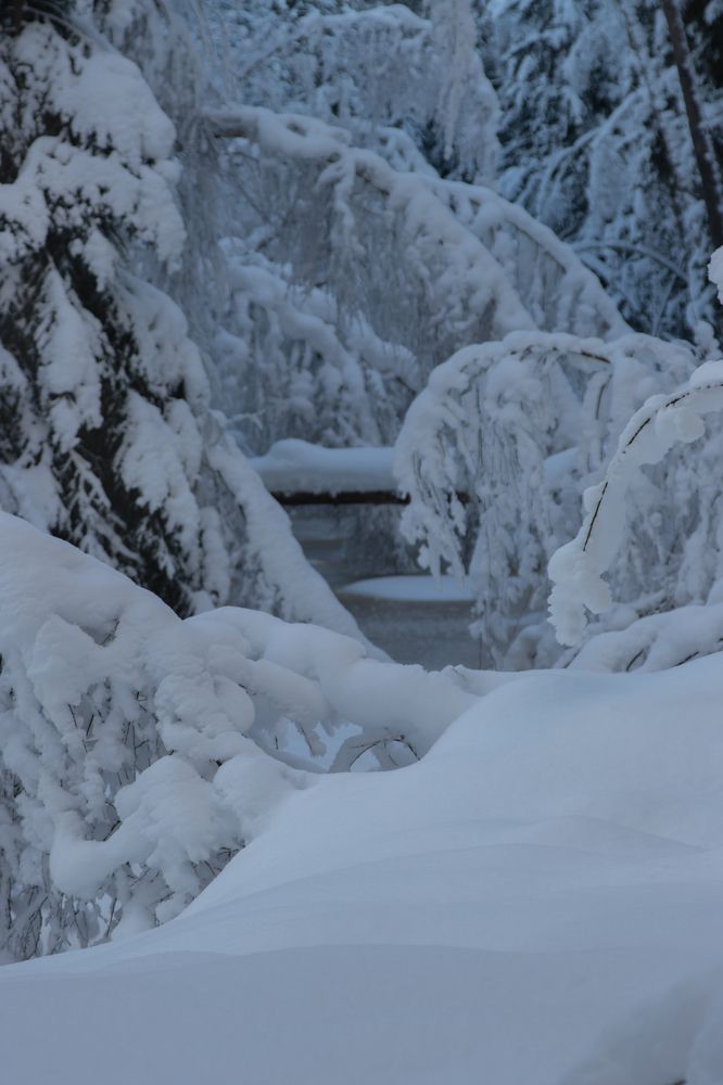 Photograph by Светлана Холодняк