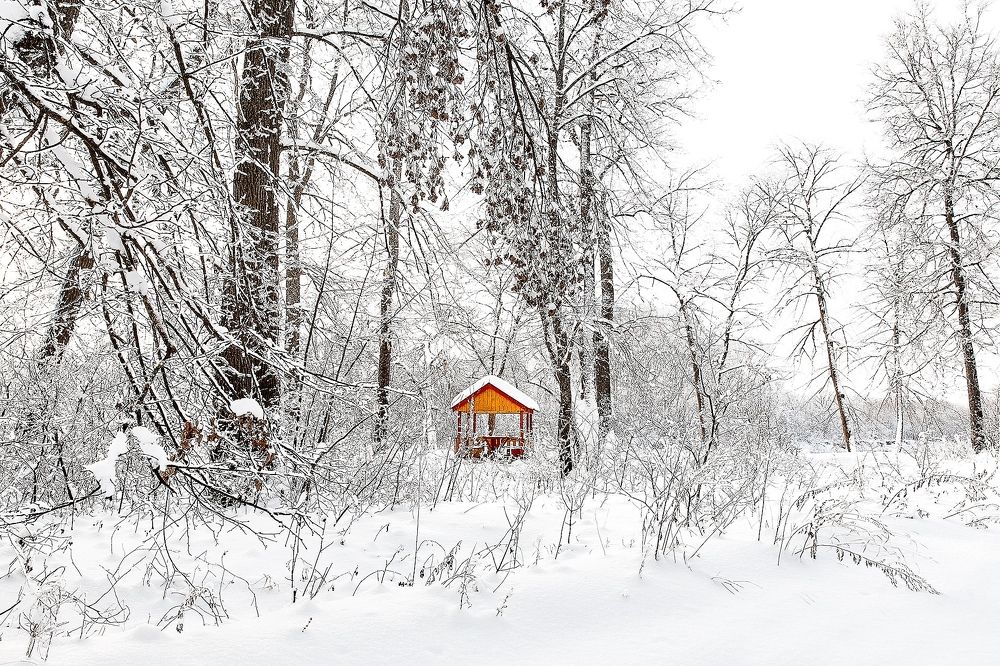 Photograph by Евгений Пивкин