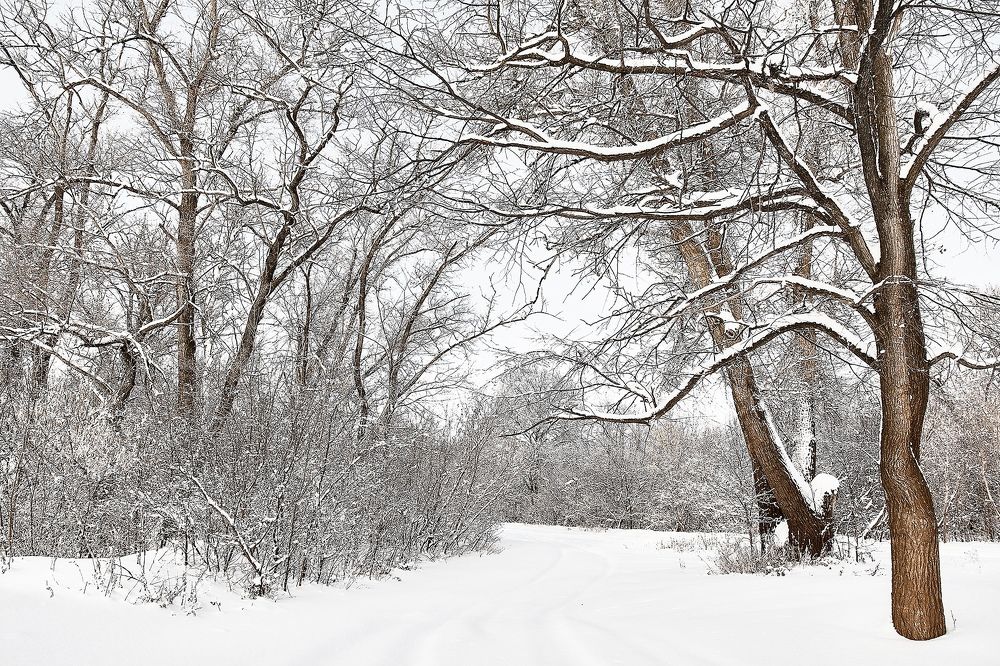 Photograph by Евгений Пивкин