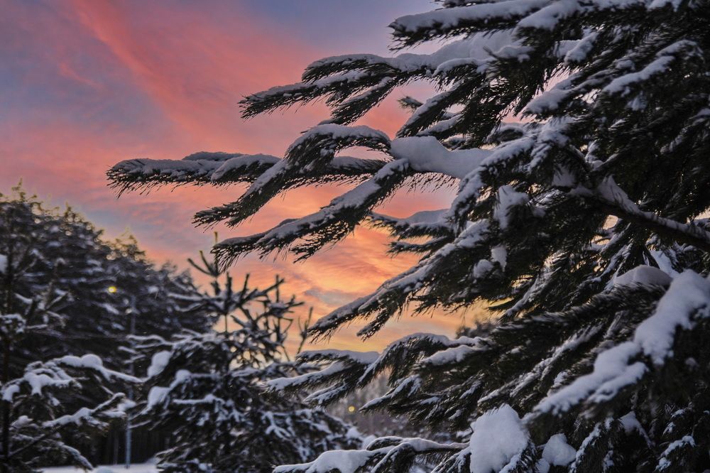 Фотография автора Александр Черепанов