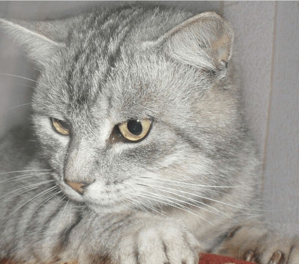 Photograph by Елена Сухорученкова