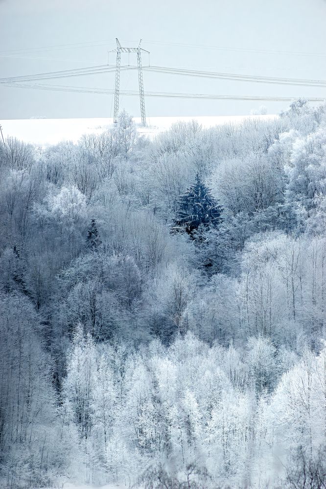 Photograph by Александр Соловьев