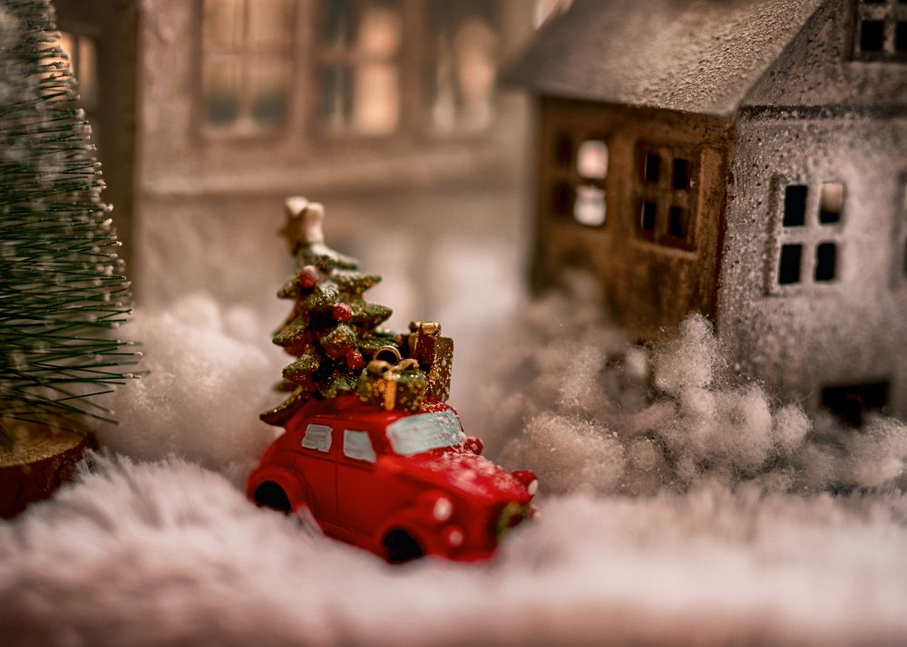 Photograph by Екатерина Каминская