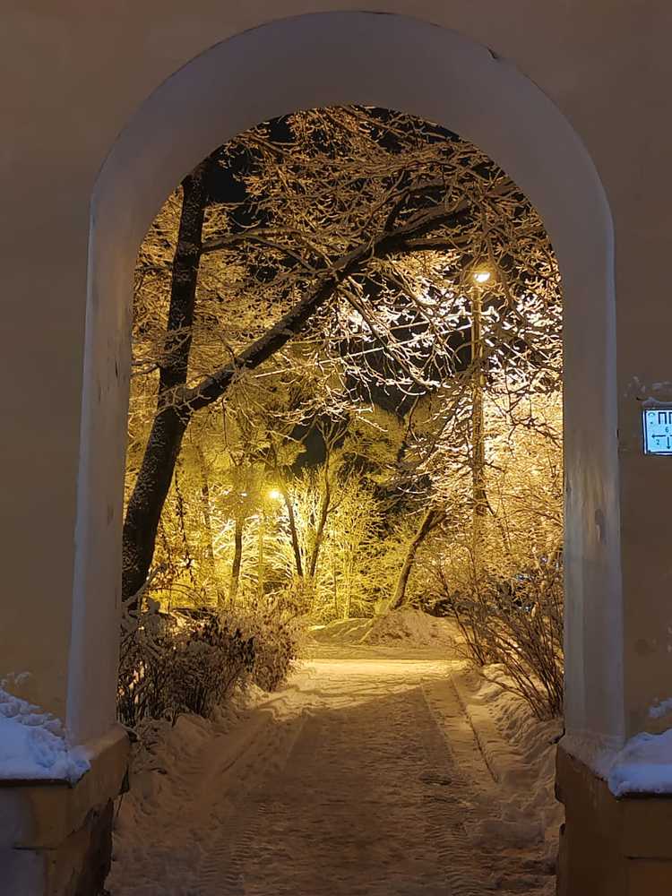 Ворота в зимнюю сказку