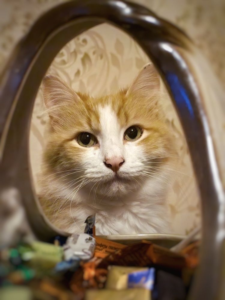 Photograph by Сергей Зайцев