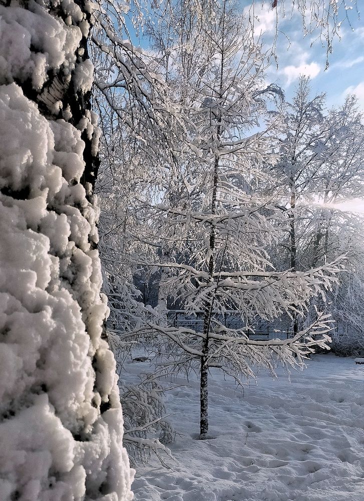 Мороз и солнце...