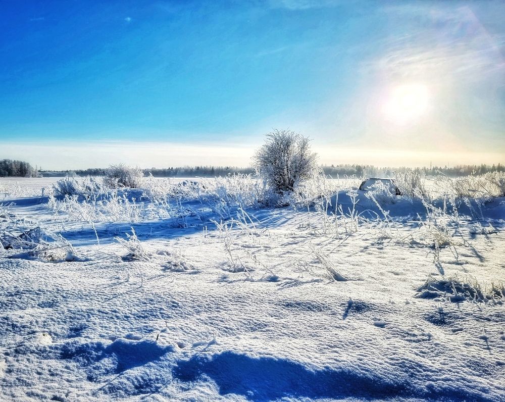 Photograph by Максим Кольцов