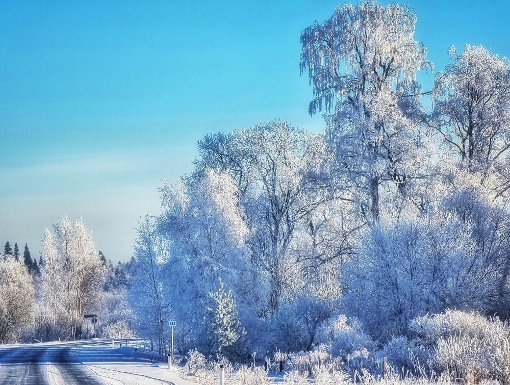 Photograph by Максим Кольцов