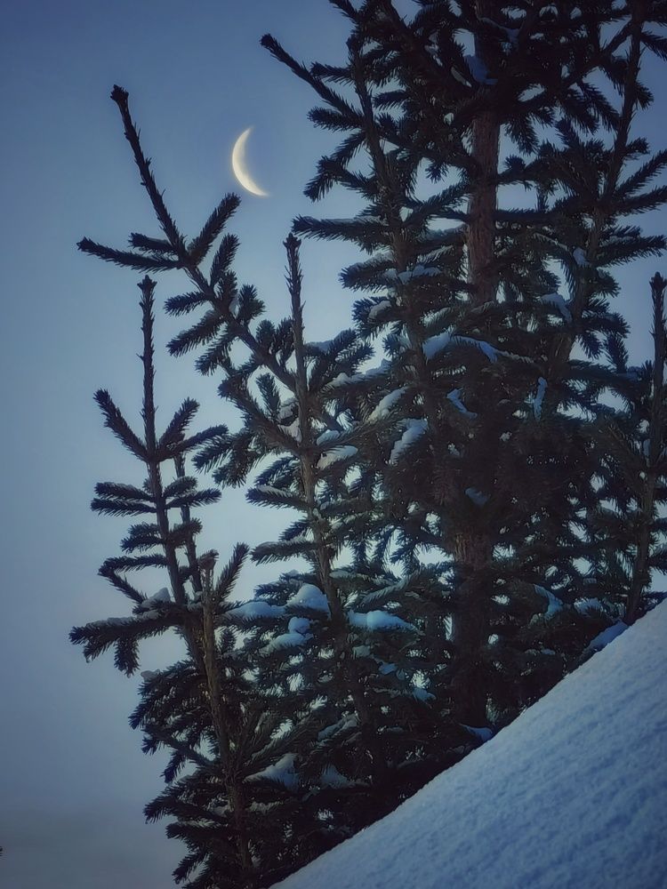 Photograph by Сергей Зайцев