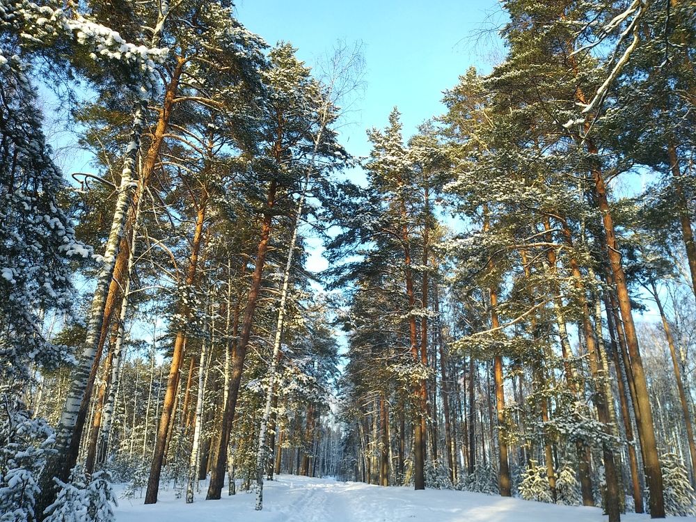 Photograph by Инна Голубева