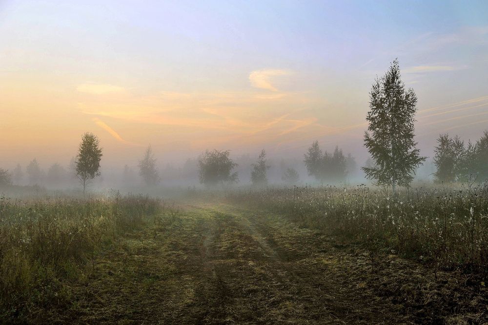 Photograph by Cергей Абакумов