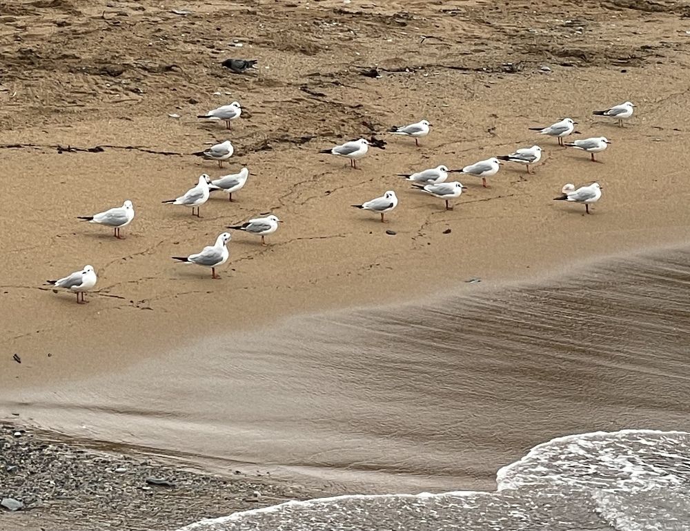 Фильм про море