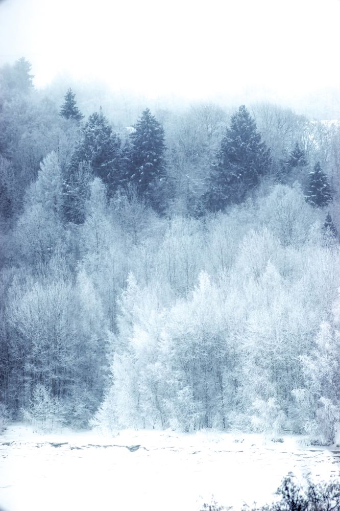 Photograph by Александр Соловьев