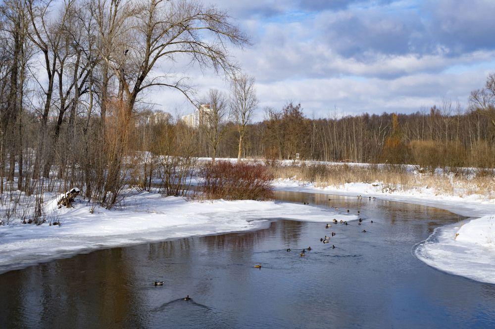 Photograph by Дмитрий Поляков