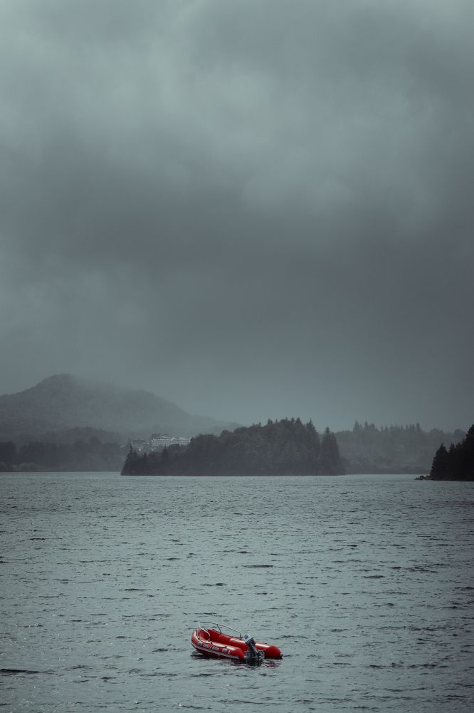 Photo #10077893
