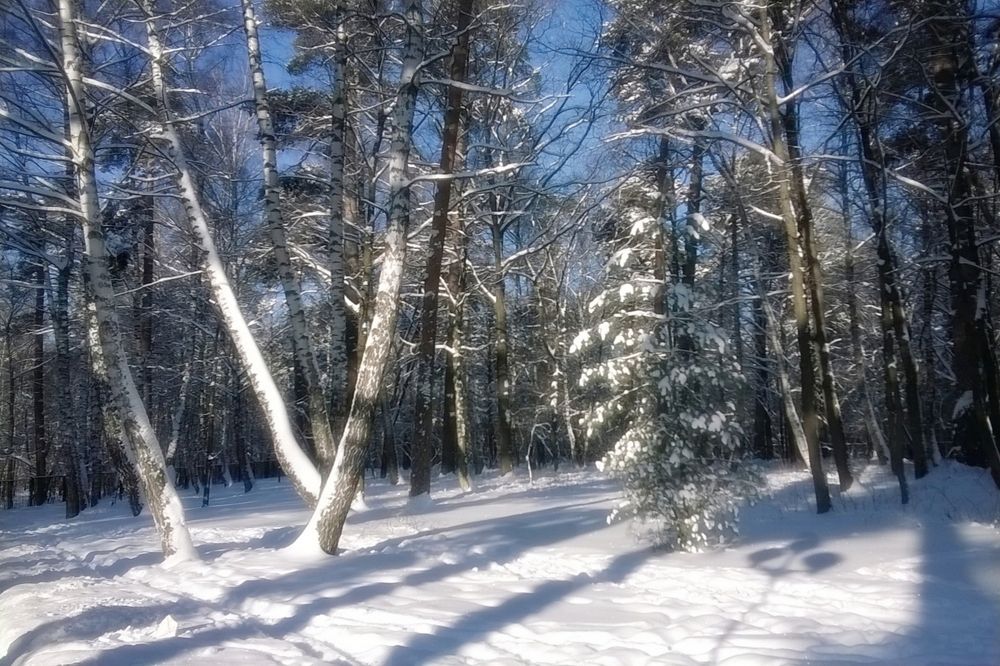 Зимнее настроение