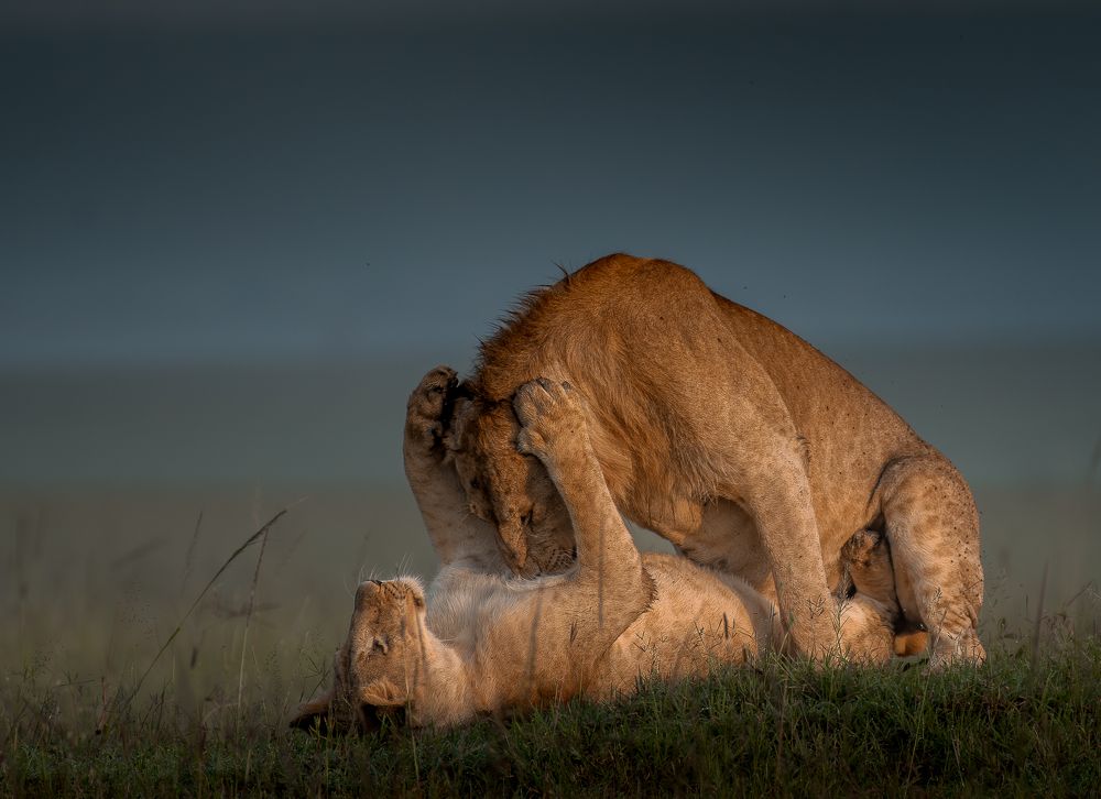 Intimacy at its Peak