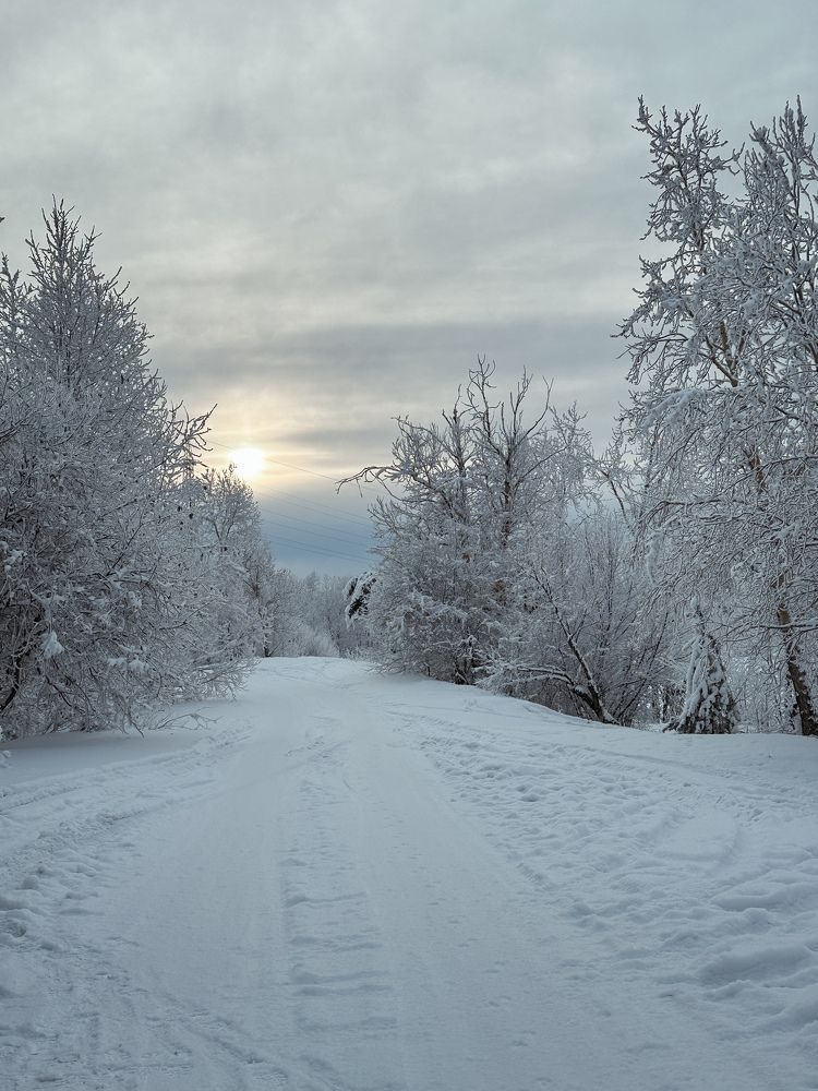 Photograph by Татьяна