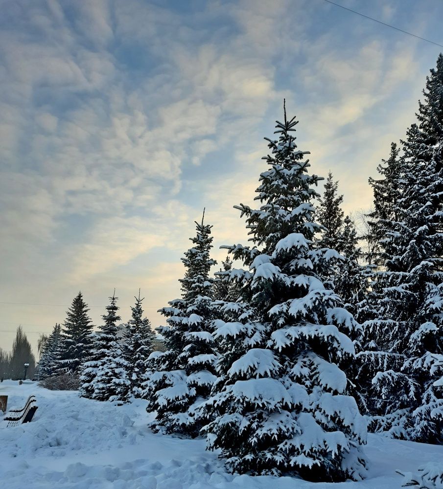 Photograph by Марина Ильева