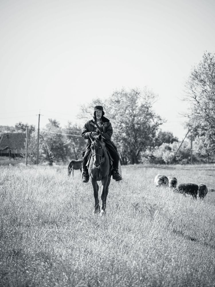 Photograph by Светлана Шибаршина