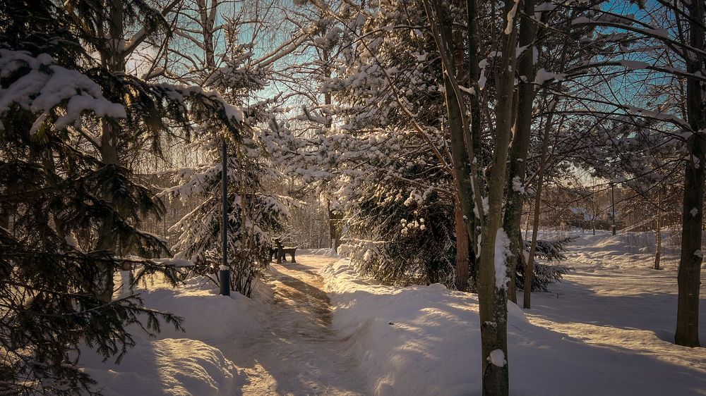 Photograph by Мария Сазонова