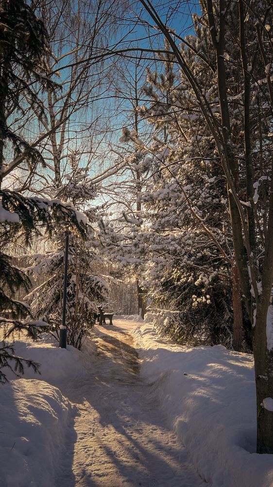 Photograph by Мария Сазонова