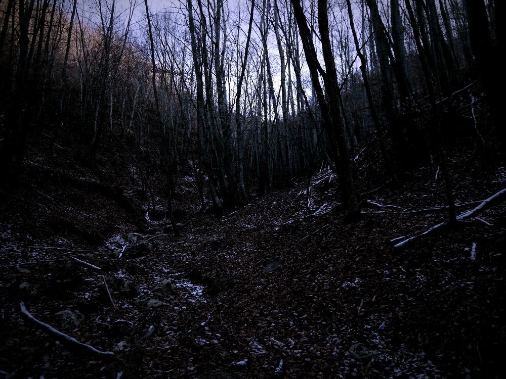 Photograph by Екатерина Игоревна