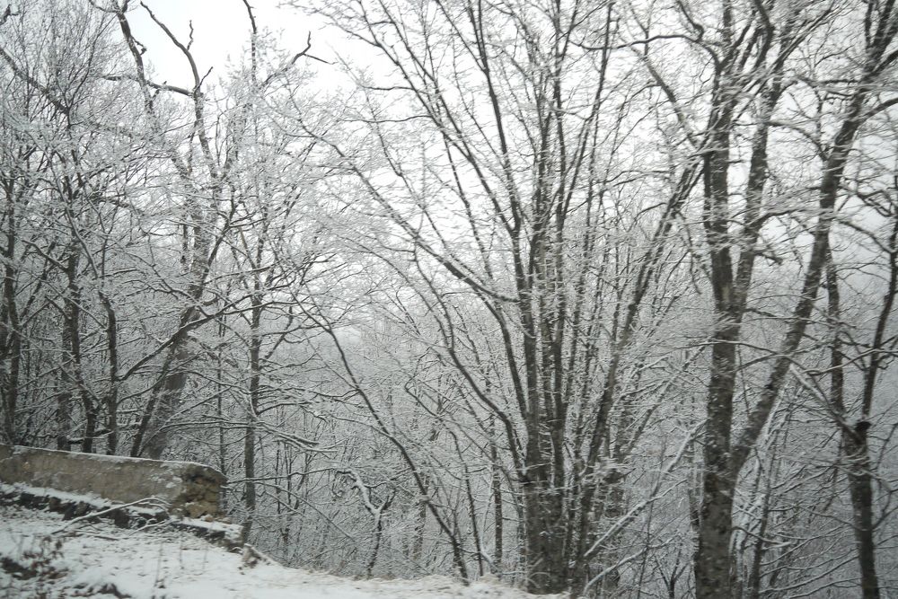 Photograph by Екатерина Игоревна