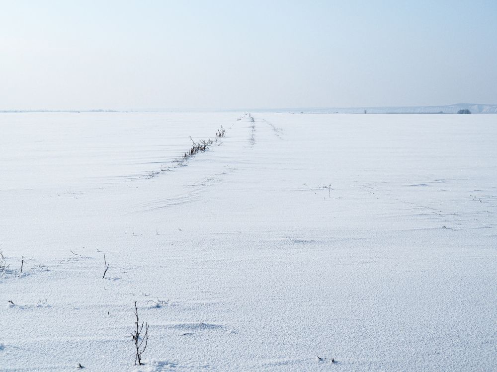 Photograph by Светлана Шибаршина