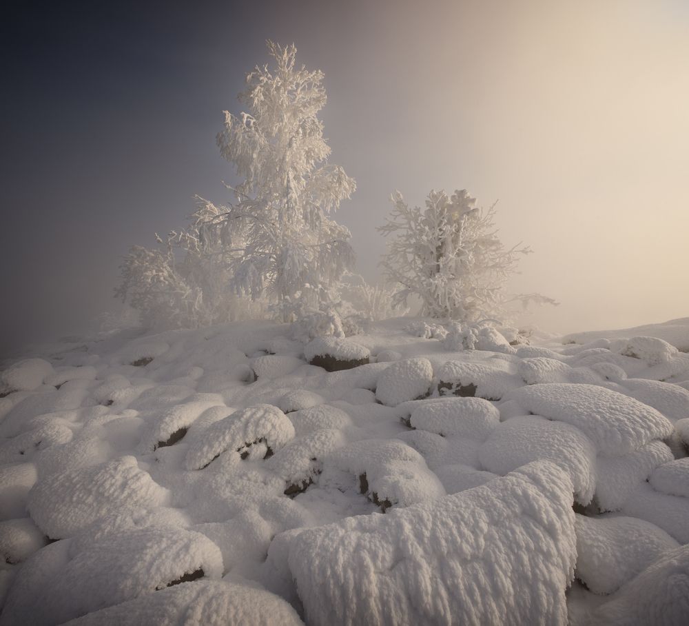 Photograph by Гордиенко Анатолий