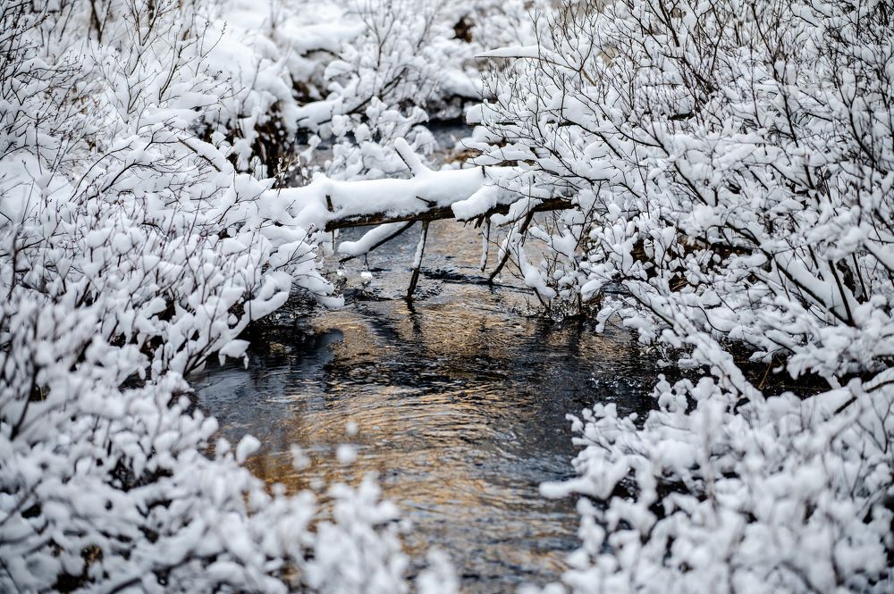 Photograph by Linda Persson