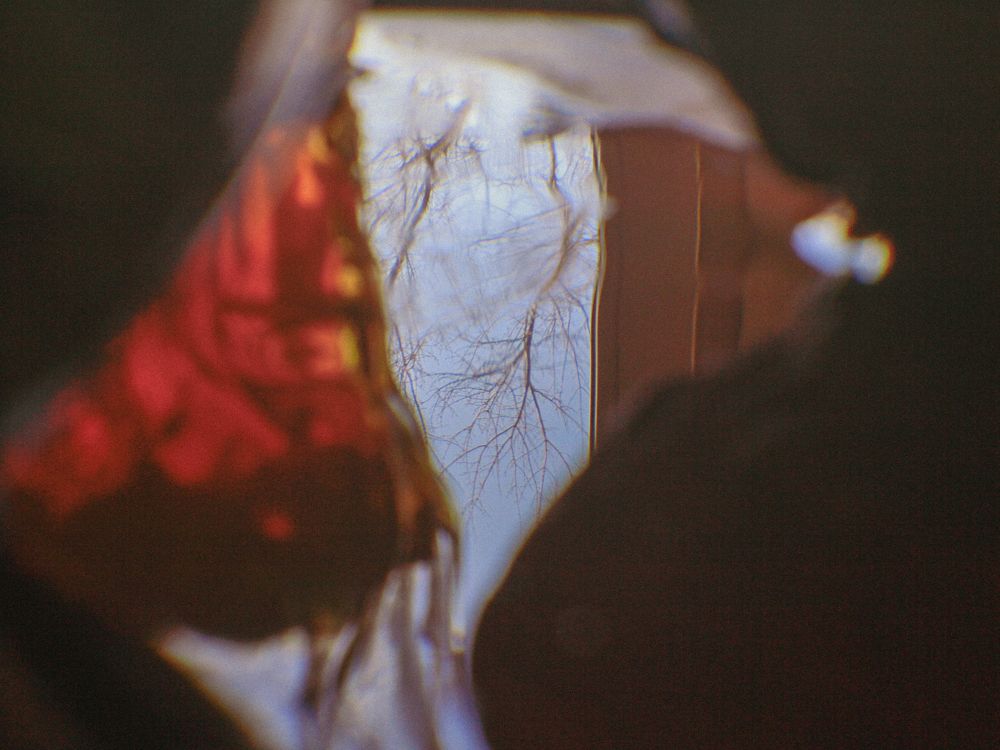 Photograph by Анна Скребкова