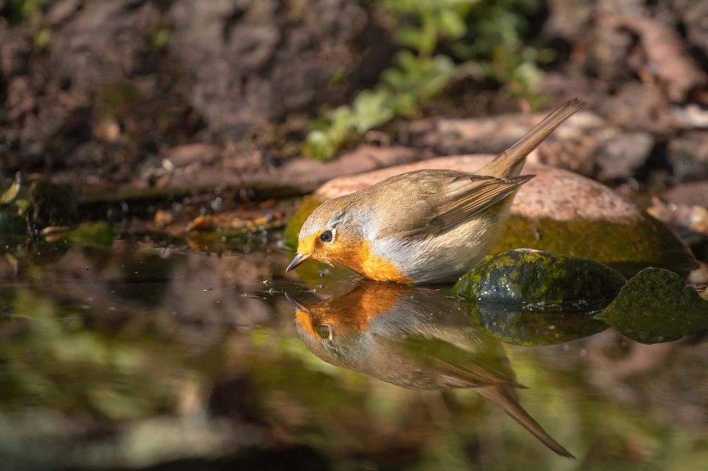 Photograph by Чудинин Дмитрий