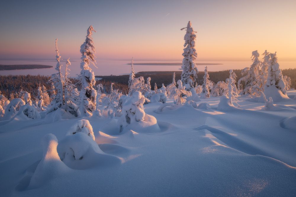 Photograph by Гордиенко Анатолий