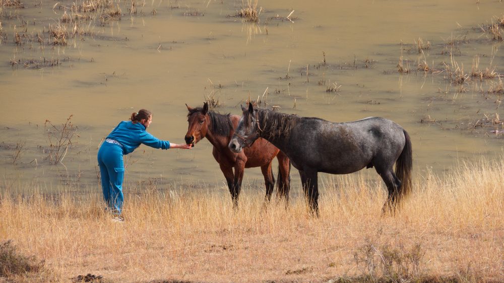 Photograph by Мичурин Андрей
