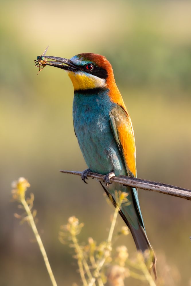 Photograph by Чудинин Дмитрий