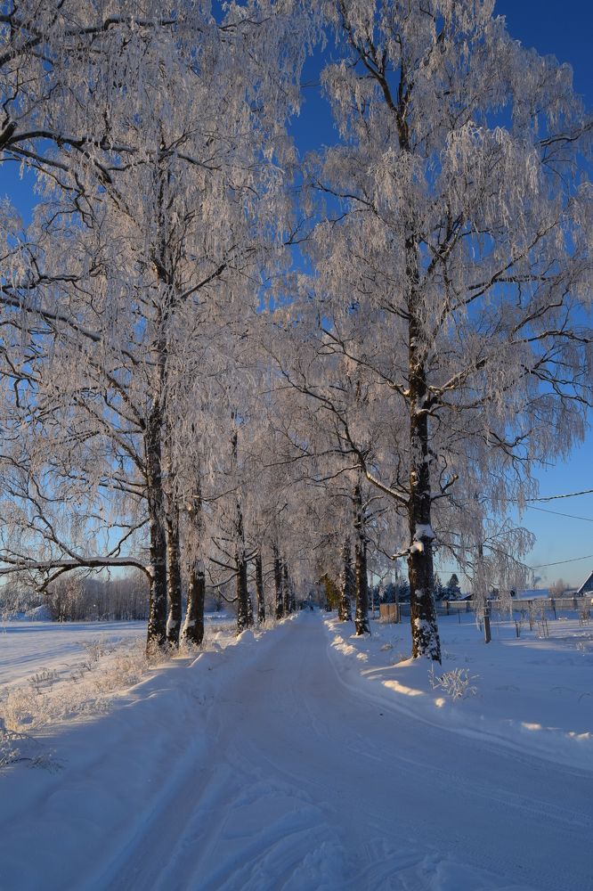 Photograph by Виктория