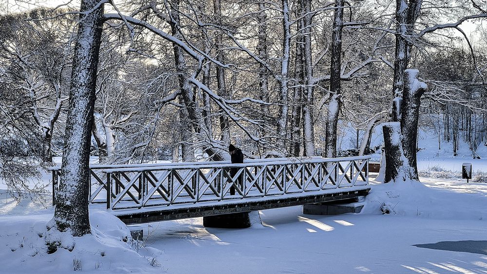 Зимнее очарование
