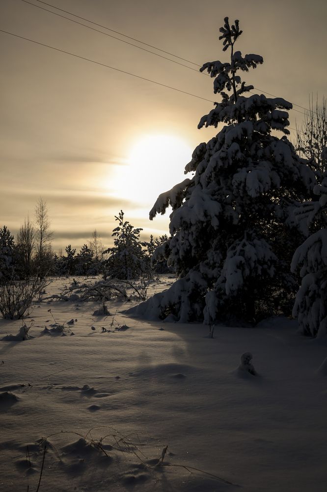 Photograph by Марина Слепова